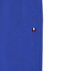 Штаны детские джоггеры Tommy Hilfiger 1159841562 (Синий 5)