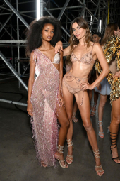 Сетчатый бюстгальтер Victoria's Secret с вышивкой 1159863869 (Розовый 34D)