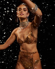 Пояс для чулок Victoria's Secret с пайетками 1159857105 (Бежевый XS/S)