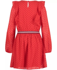 Ошатна дитяча сукня Tommy Hilfiger з принтом 1159809157 (червоний, L)
