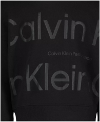 Детская толстовка Calvin Klein 1159820162 (Черный M)