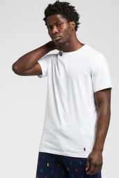 Футболка Polo Ralph Lauren 1159841451 (Белый L)