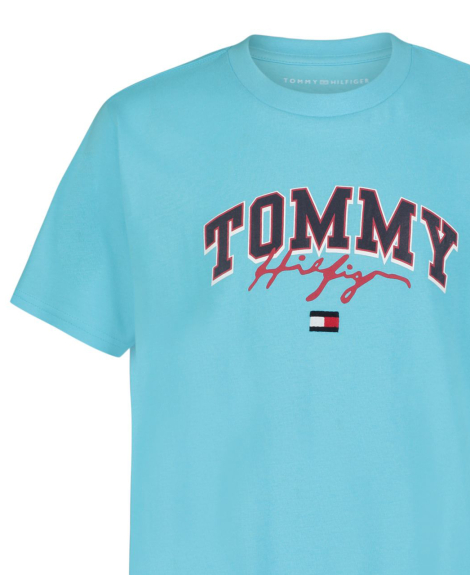 Детская футболка Tommy Hilfiger с принтом 1160225282 (Голубой 6) на рост 117 см