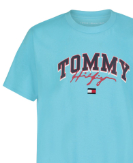 Детская футболка Tommy Hilfiger с принтом 1160225282 (Голубой 6) на рост 117 см