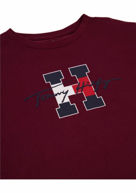 Дитяча футболка Tommy Hilfiger з логотипом 1159839769 (Бордовий 6)