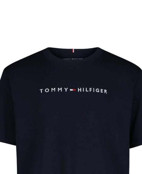 Детская футболка Tommy Hilfiger с вышитым логотипом 1159842776 (Синий 2T)