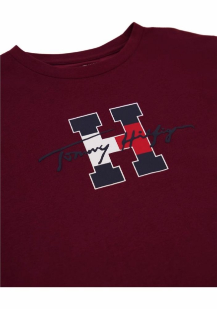 Детская футболка Tommy Hilfiger с логотипом 1159843133 (Бордовый S)