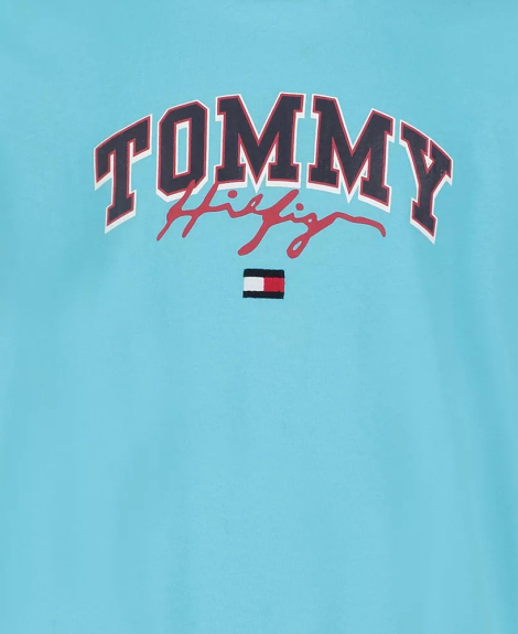 Детская футболка Tommy Hilfiger с логотипом 1159863425 (Голубой 6) на рост 117 см