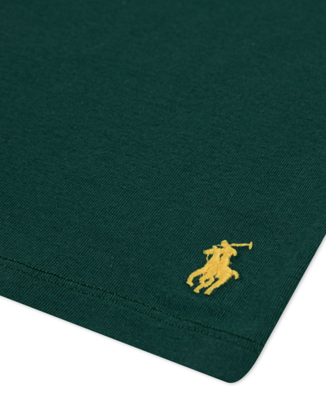 Набор детских футболок Polo Ralph Lauren 3 шт 1159863704 (Разные цвета S) на рост 116-132 см