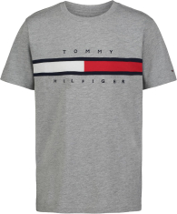 Детская футболка Tommy Hilfiger с логотипом 1159844631 (Серый 3T)