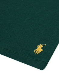 Набор детских футболок Polo Ralph Lauren 3 шт 1159863704 (Разные цвета S) на рост 116-132 см