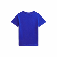 Детская футболка Polo Ralph Lauren с логотипом 1159864411 (Синий 6) на рост 117-123 см
