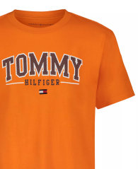 Детская футболка Tommy Hilfiger с логотипом 1160151480 (Оранжевый 6) на рост 117 см
