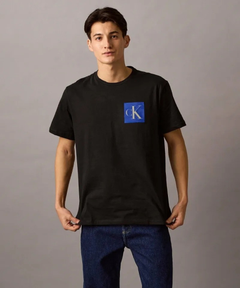 Чоловічі футболки з логотипом Calvin Klein 1159838309 (Чорний M)