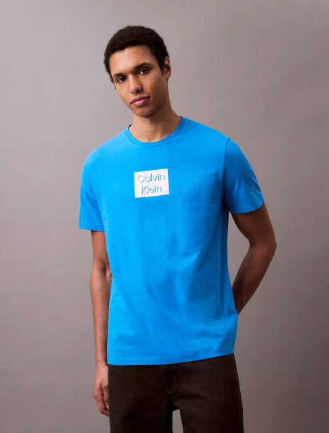 Мужская футболка Calvin Klein с логотипом 1159840292 (Синий XL)