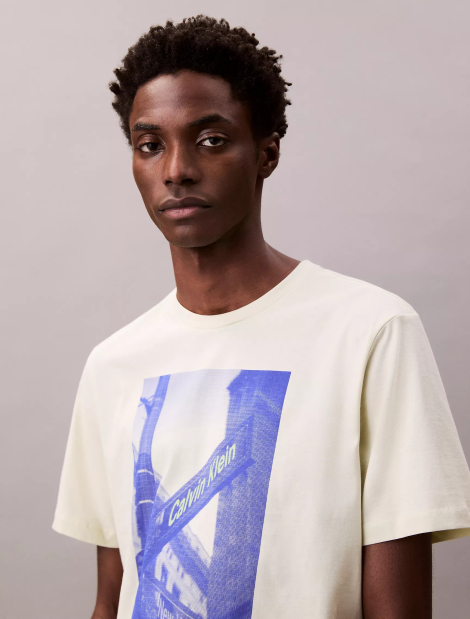 Мужская футболка Calvin Klein с принтом 1159840296 (Зеленый L)