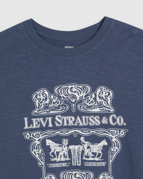 Футболка мужская Levi's с принтом 1159840738 (Синий M)