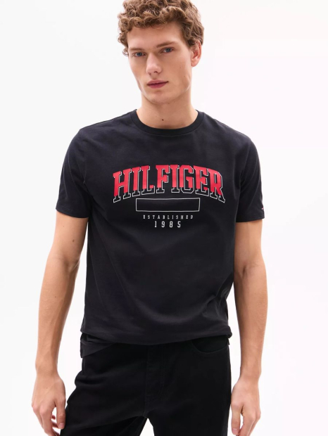 Мужская футболка Tommy Hilfiger 1159840760 (Черный M)