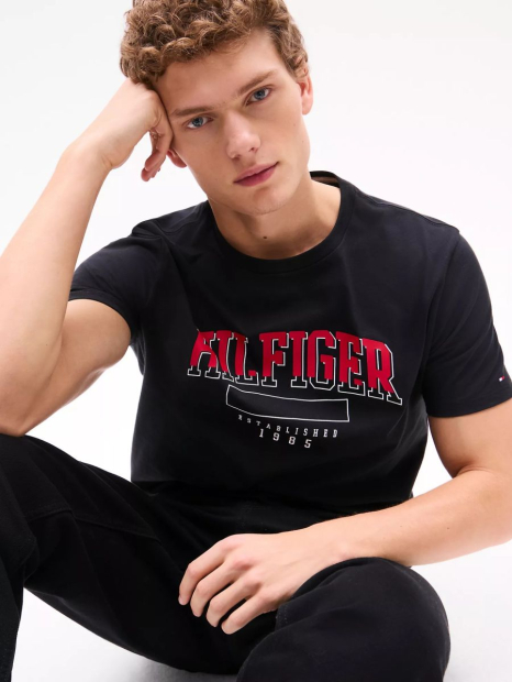 Мужская футболка Tommy Hilfiger 1159840760 (Черный M)