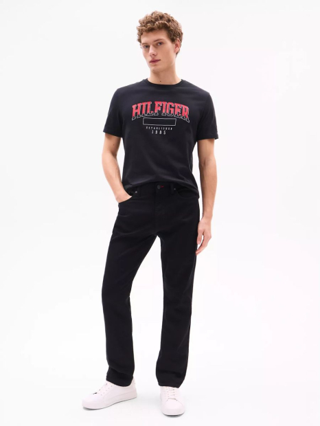 Мужская футболка Tommy Hilfiger 1159840760 (Черный M)