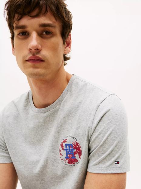 Футболка Tommy Hilfiger с принтом 1159845760 (Серый L)