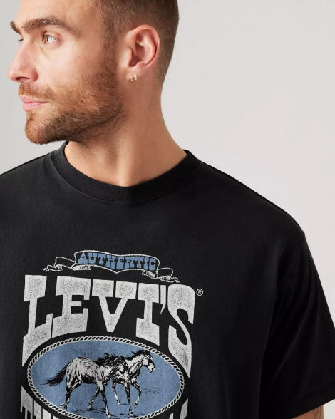 Футболка мужская Levi's с принтом 1159845823 (Черный S)