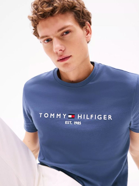 Мужская футболка Tommy Hilfiger с вышитым логотипом 1159846443 (Синий S)