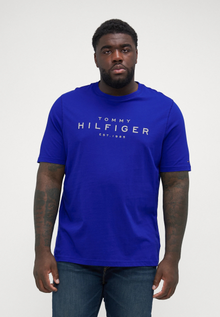 Чоловічі футболки Tommy Hilfiger з логотипом 1159847505 (Синій S)