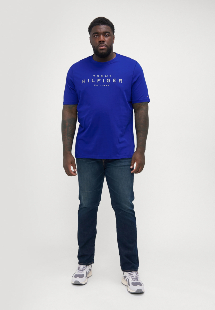 Чоловічі футболки Tommy Hilfiger з логотипом 1159847505 (Синій S)