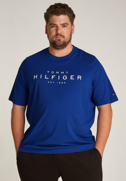 Чоловічі футболки Tommy Hilfiger з логотипом 1159847505 (Синій S)