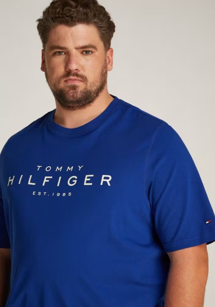 Чоловічі футболки Tommy Hilfiger з логотипом 1159847505 (Синій S)