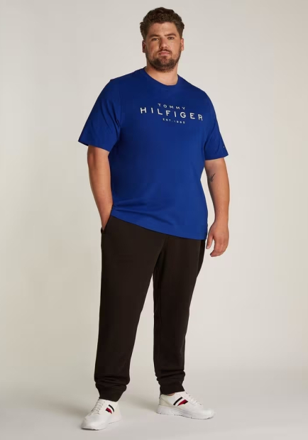 Чоловічі футболки Tommy Hilfiger з логотипом 1159847505 (Синій S)