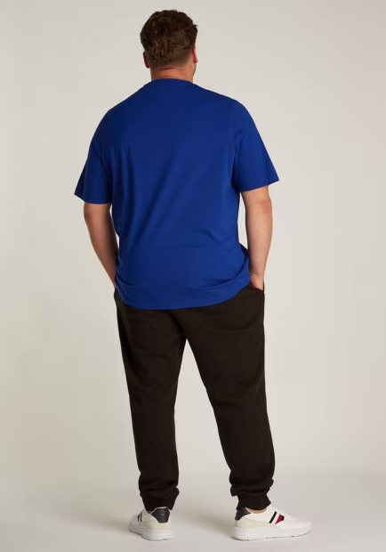 Чоловічі футболки Tommy Hilfiger з логотипом 1159847505 (Синій S)