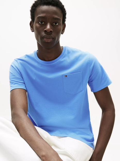 Мужская футболка Tommy Hilfiger 1159847677 (Синий M)