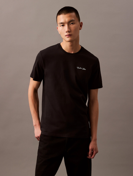 Мужская футболка Calvin Klein с логотипом 1159850248 (Черный S)