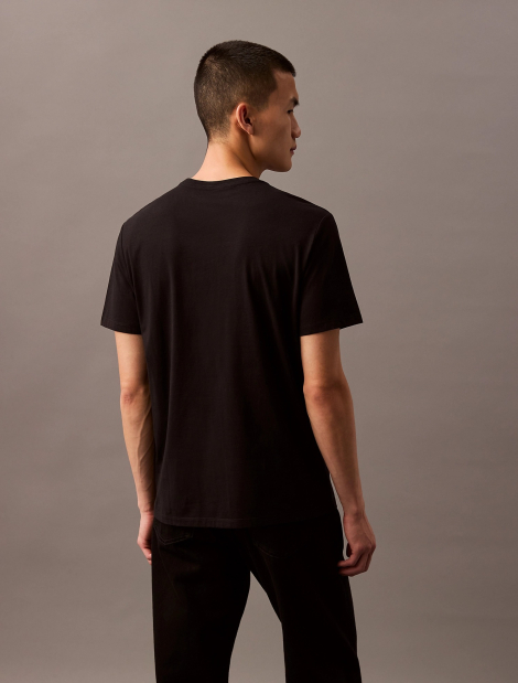 Мужская футболка Calvin Klein с логотипом 1159850248 (Черный S)