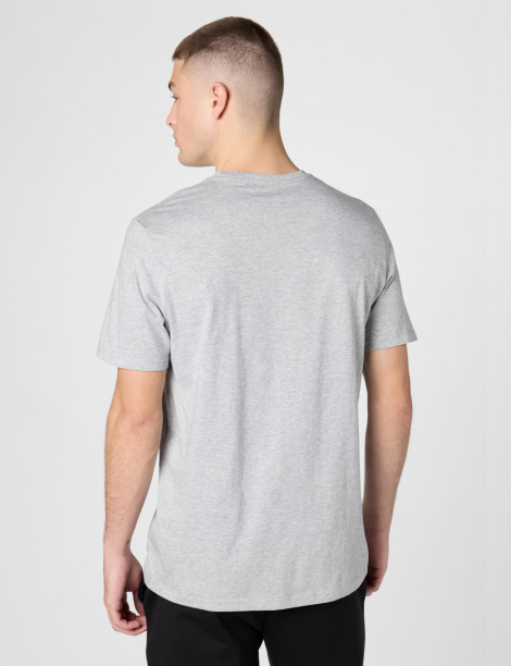 Чоловічі футболки з логотипом Calvin Klein 1159850983 (Сірий L)