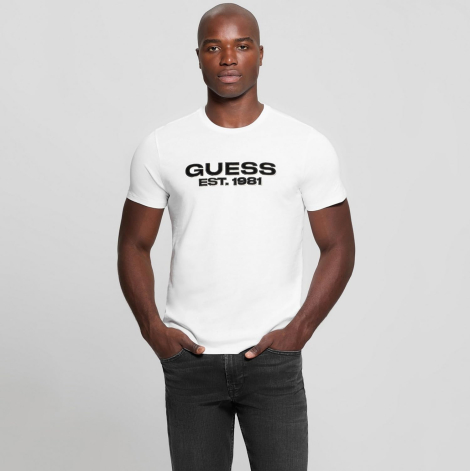 Чоловічі футболки Guess з оксамитовим логотипом 1159851411 (Білий L)