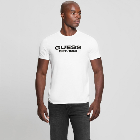 Чоловічі футболки Guess з оксамитовим логотипом 1159851411 (Білий L)