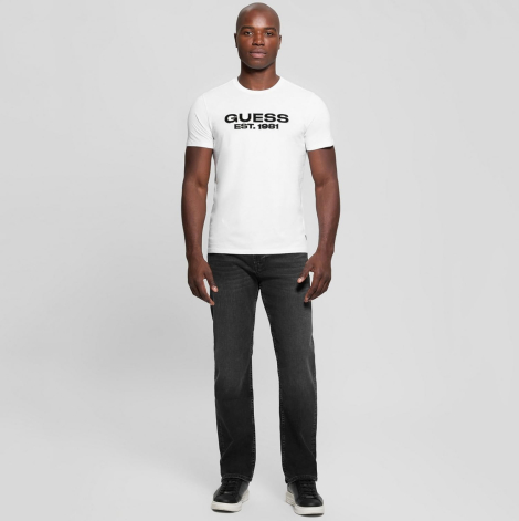 Чоловічі футболки Guess з оксамитовим логотипом 1159851411 (Білий L)