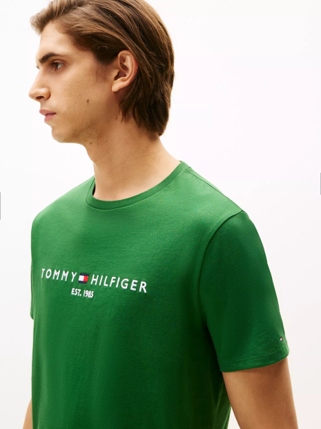 Мужская футболка Tommy Hilfiger с вышитым логотипом 1159852286 (Зеленый XL)