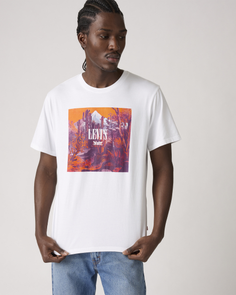 Футболка чоловіча Levi's з принтом 1159856013 (Білий XXL)