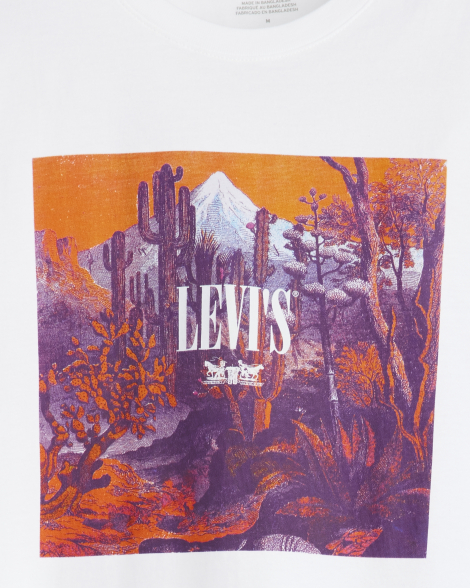 Футболка чоловіча Levi's з принтом 1159856013 (Білий XXL)