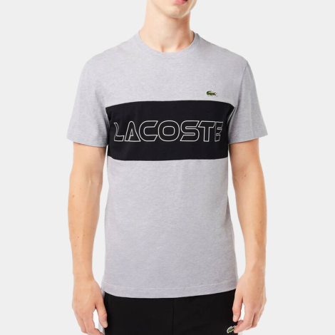 Мужская футболка Lacoste с логотипом 1159856698 (Серый XXL)