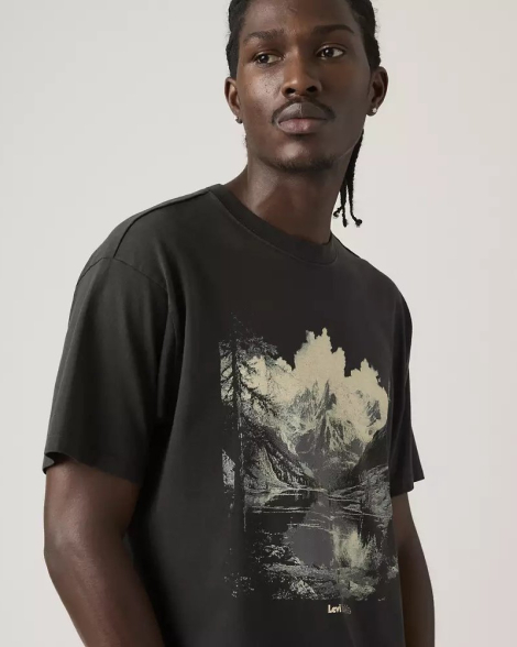 Футболка чоловіча Levi's з принтом 1159857056 (Сірий XL)