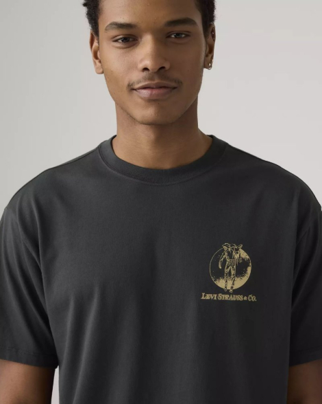 Футболка мужская Levi's с принтом 1159857058 (Серый L)