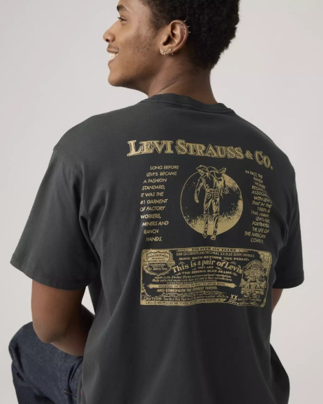 Футболка мужская Levi's с принтом 1159857058 (Серый L)