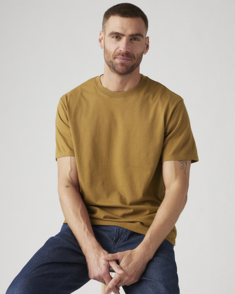 Футболка мужская Levi's с коротким рукавом 1159857298 (Коричневый XXL)