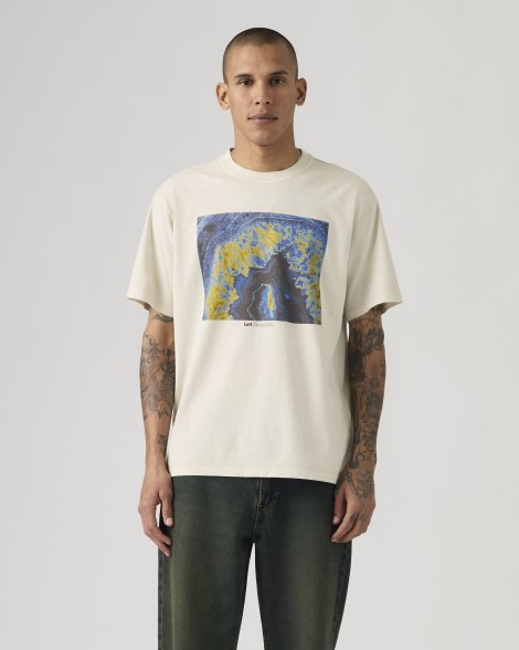 Мужская футболка Levi's с принтом 1159857377 (Серый M)