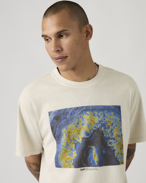 Мужская футболка Levi's с принтом 1159857376 (Серый XL)